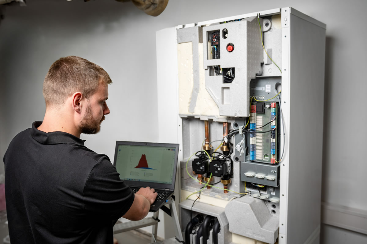 20240724_3766- Look Clean